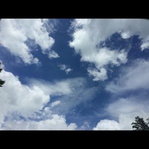 Meet your Posher, Bresse